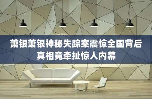 萧银萧银神秘失踪案震惊全国背后真相竟牵扯惊人内幕