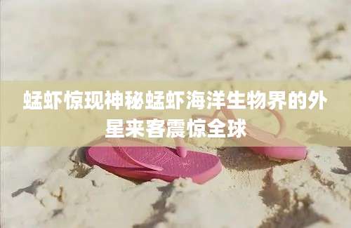 蜢虾惊现神秘蜢虾海洋生物界的外星来客震惊全球