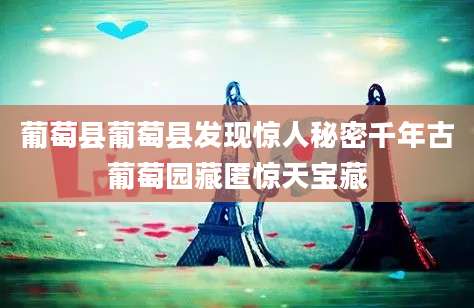 葡萄县葡萄县发现惊人秘密千年古葡萄园藏匿惊天宝藏