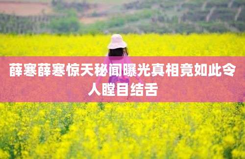 薛寒薛寒惊天秘闻曝光真相竟如此令人瞠目结舌