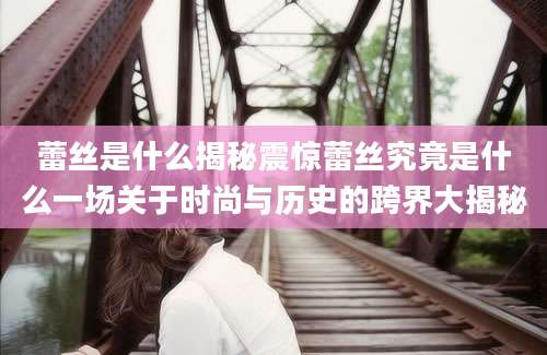 蕾丝是什么揭秘震惊蕾丝究竟是什么一场关于时尚与历史的跨界大揭秘