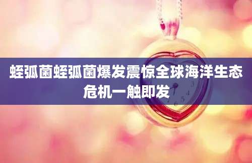 蛭弧菌蛭弧菌爆发震惊全球海洋生态危机一触即发