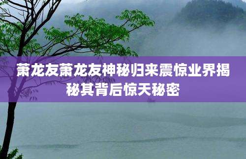 萧龙友萧龙友神秘归来震惊业界揭秘其背后惊天秘密