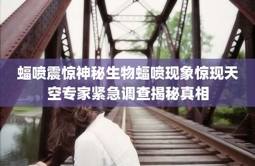 蝠喷震惊神秘生物蝠喷现象惊现天空专家紧急调查揭秘真相