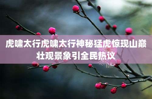 虎啸太行虎啸太行神秘猛虎惊现山巅壮观景象引全民热议