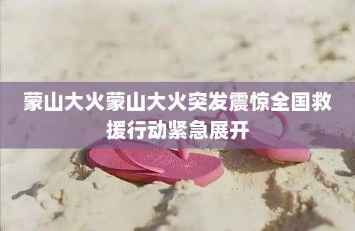 蒙山大火蒙山大火突发震惊全国救援行动紧急展开