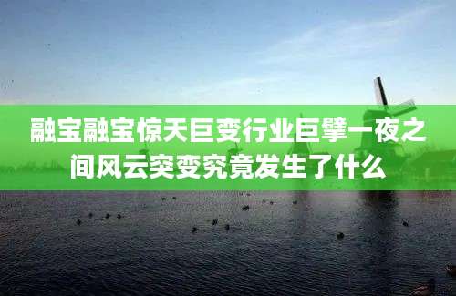 融宝融宝惊天巨变行业巨擘一夜之间风云突变究竟发生了什么