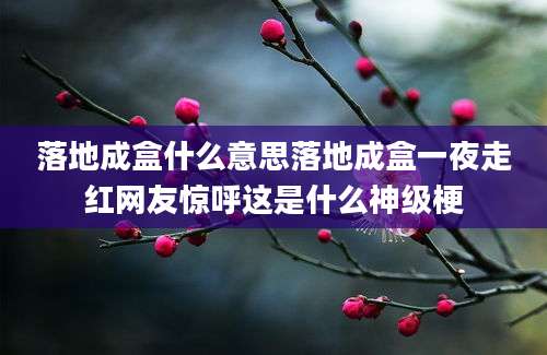 落地成盒什么意思落地成盒一夜走红网友惊呼这是什么神级梗