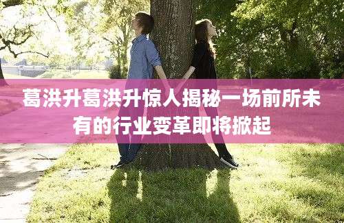 葛洪升葛洪升惊人揭秘一场前所未有的行业变革即将掀起