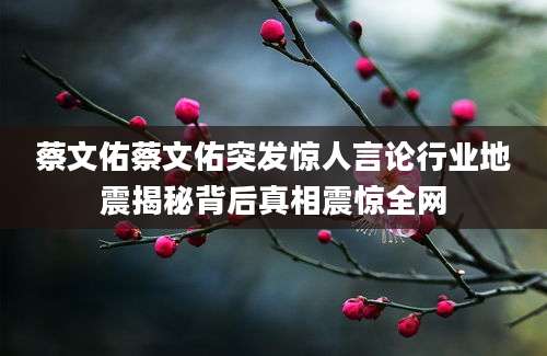蔡文佑蔡文佑突发惊人言论行业地震揭秘背后真相震惊全网