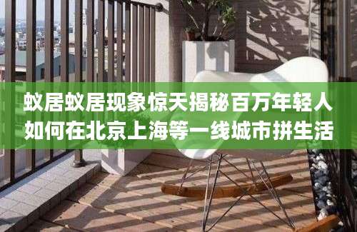 蚁居蚁居现象惊天揭秘百万年轻人如何在北京上海等一线城市拼生活