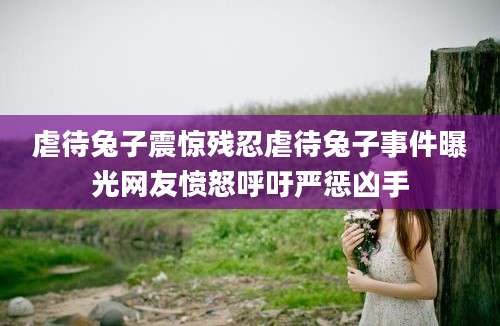 虐待兔子震惊残忍虐待兔子事件曝光网友愤怒呼吁严惩凶手