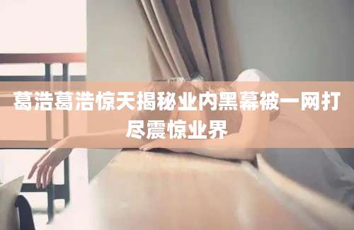 葛浩葛浩惊天揭秘业内黑幕被一网打尽震惊业界