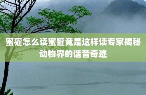 蜜獾怎么读蜜獾竟是这样读专家揭秘动物界的谐音奇迹