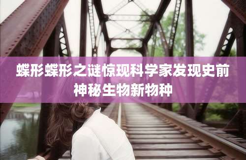 蝶形蝶形之谜惊现科学家发现史前神秘生物新物种