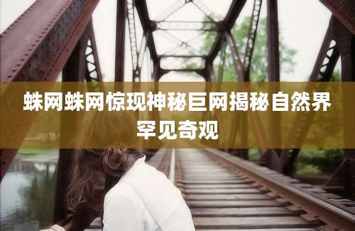 蛛网蛛网惊现神秘巨网揭秘自然界罕见奇观