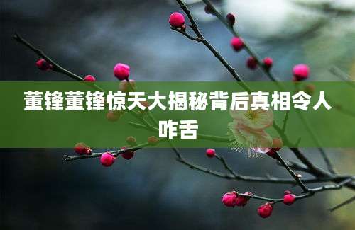 董锋董锋惊天大揭秘背后真相令人咋舌