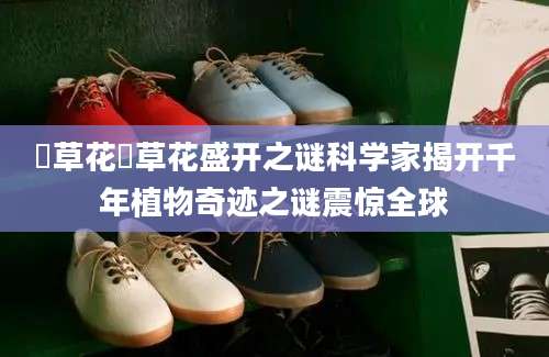 葎草花葎草花盛开之谜科学家揭开千年植物奇迹之谜震惊全球