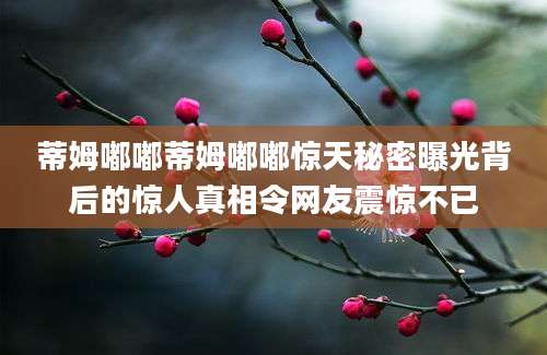 蒂姆嘟嘟蒂姆嘟嘟惊天秘密曝光背后的惊人真相令网友震惊不已