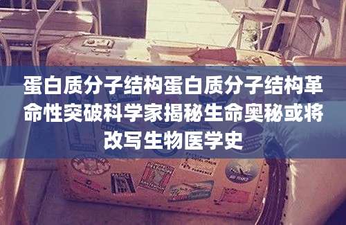 蛋白质分子结构蛋白质分子结构革命性突破科学家揭秘生命奥秘或将改写生物医学史