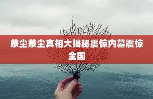 蒙尘蒙尘真相大揭秘震惊内幕震惊全国