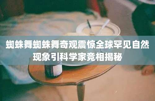 蜘蛛舞蜘蛛舞奇观震惊全球罕见自然现象引科学家竞相揭秘