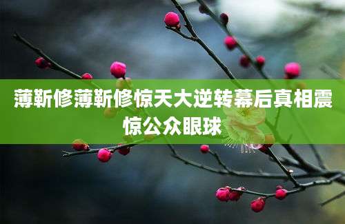 薄靳修薄靳修惊天大逆转幕后真相震惊公众眼球