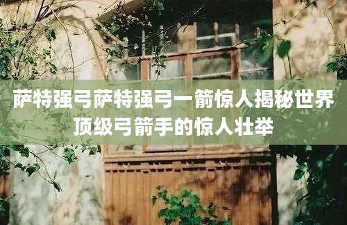 萨特强弓萨特强弓一箭惊人揭秘世界顶级弓箭手的惊人壮举