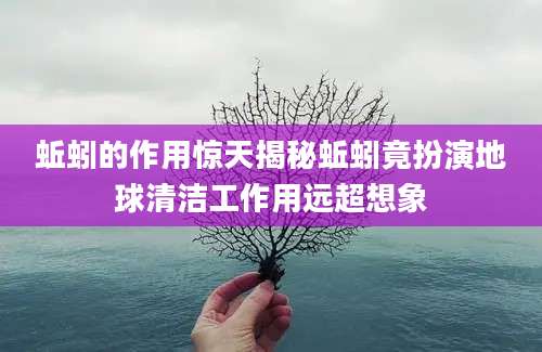 蚯蚓的作用惊天揭秘蚯蚓竟扮演地球清洁工作用远超想象