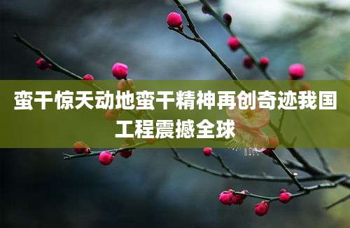 蛮干惊天动地蛮干精神再创奇迹我国工程震撼全球