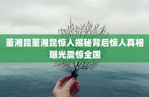 董湘昆董湘昆惊人揭秘背后惊人真相曝光震惊全国