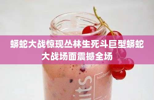 蟒蛇大战惊现丛林生死斗巨型蟒蛇大战场面震撼全场
