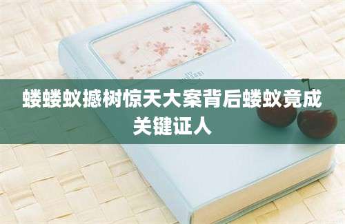 蝼蝼蚁撼树惊天大案背后蝼蚁竟成关键证人
