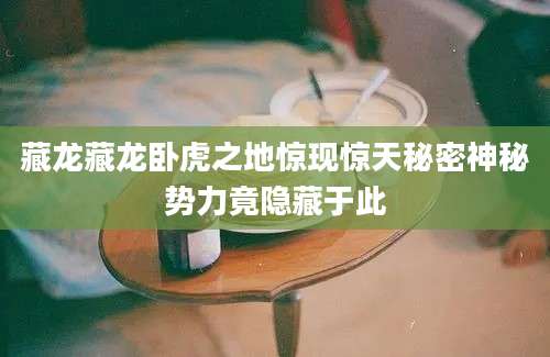 藏龙藏龙卧虎之地惊现惊天秘密神秘势力竟隐藏于此