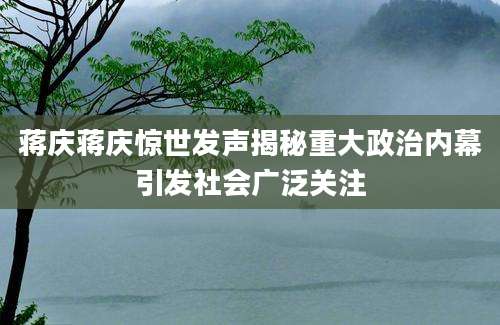蒋庆蒋庆惊世发声揭秘重大政治内幕引发社会广泛关注