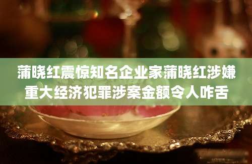 蒲晓红震惊知名企业家蒲晓红涉嫌重大经济犯罪涉案金额令人咋舌