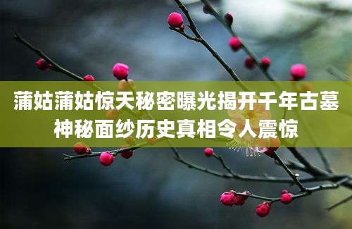 蒲姑蒲姑惊天秘密曝光揭开千年古墓神秘面纱历史真相令人震惊
