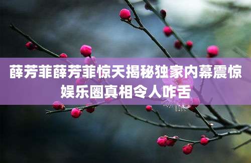 薛芳菲薛芳菲惊天揭秘独家内幕震惊娱乐圈真相令人咋舌