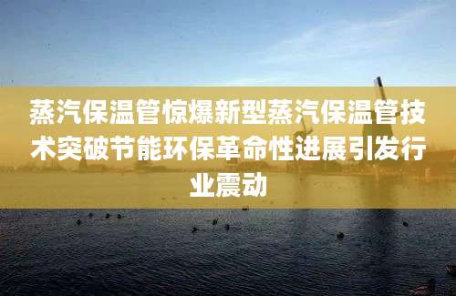 蒸汽保温管惊爆新型蒸汽保温管技术突破节能环保革命性进展引发行业震动