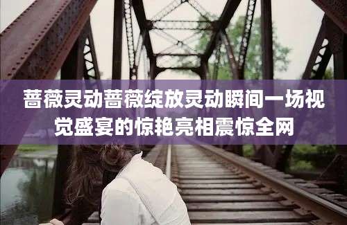 蔷薇灵动蔷薇绽放灵动瞬间一场视觉盛宴的惊艳亮相震惊全网