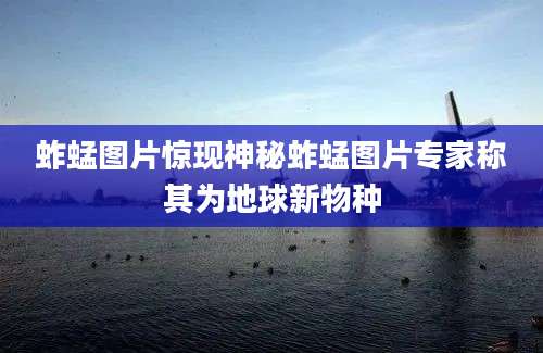 蚱蜢图片惊现神秘蚱蜢图片专家称其为地球新物种