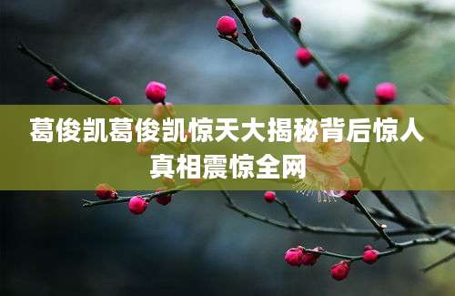 葛俊凯葛俊凯惊天大揭秘背后惊人真相震惊全网