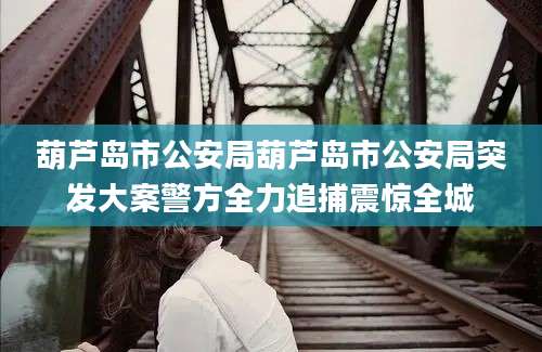 葫芦岛市公安局葫芦岛市公安局突发大案警方全力追捕震惊全城