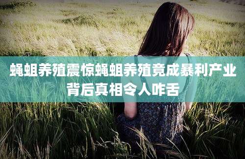 蝇蛆养殖震惊蝇蛆养殖竟成暴利产业背后真相令人咋舌