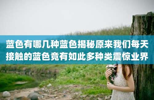 蓝色有哪几种蓝色揭秘原来我们每天接触的蓝色竟有如此多种类震惊业界