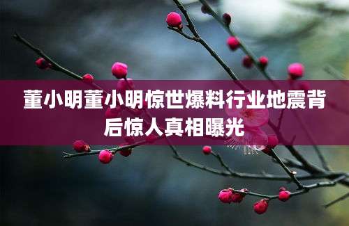 董小明董小明惊世爆料行业地震背后惊人真相曝光