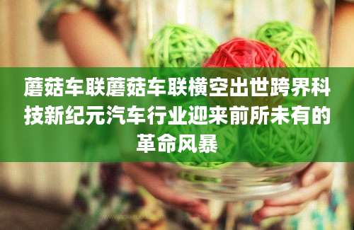 蘑菇车联蘑菇车联横空出世跨界科技新纪元汽车行业迎来前所未有的革命风暴