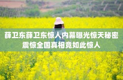 薛卫东薛卫东惊人内幕曝光惊天秘密震惊全国真相竟如此惊人