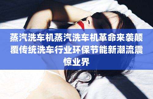 蒸汽洗车机蒸汽洗车机革命来袭颠覆传统洗车行业环保节能新潮流震惊业界