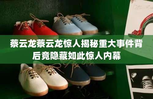 蔡云龙蔡云龙惊人揭秘重大事件背后竟隐藏如此惊人内幕